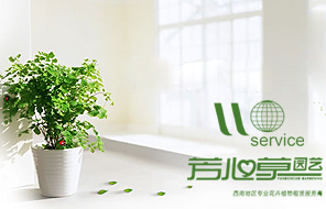 芳心草园艺商城