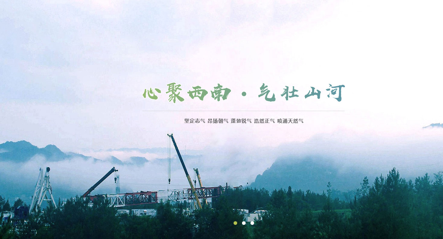 中石化西南公司内网