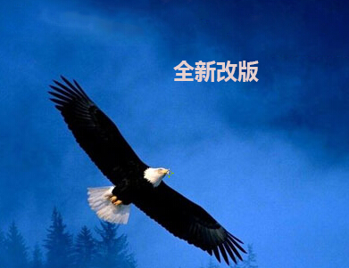 金明科技官网即将改版~